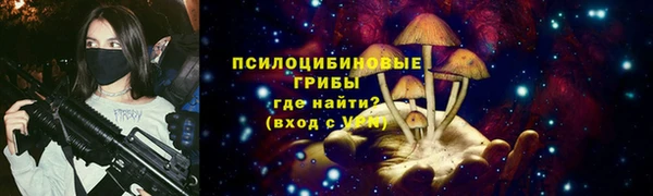 гидропоника Осинники