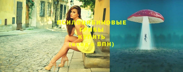 стафф Нягань